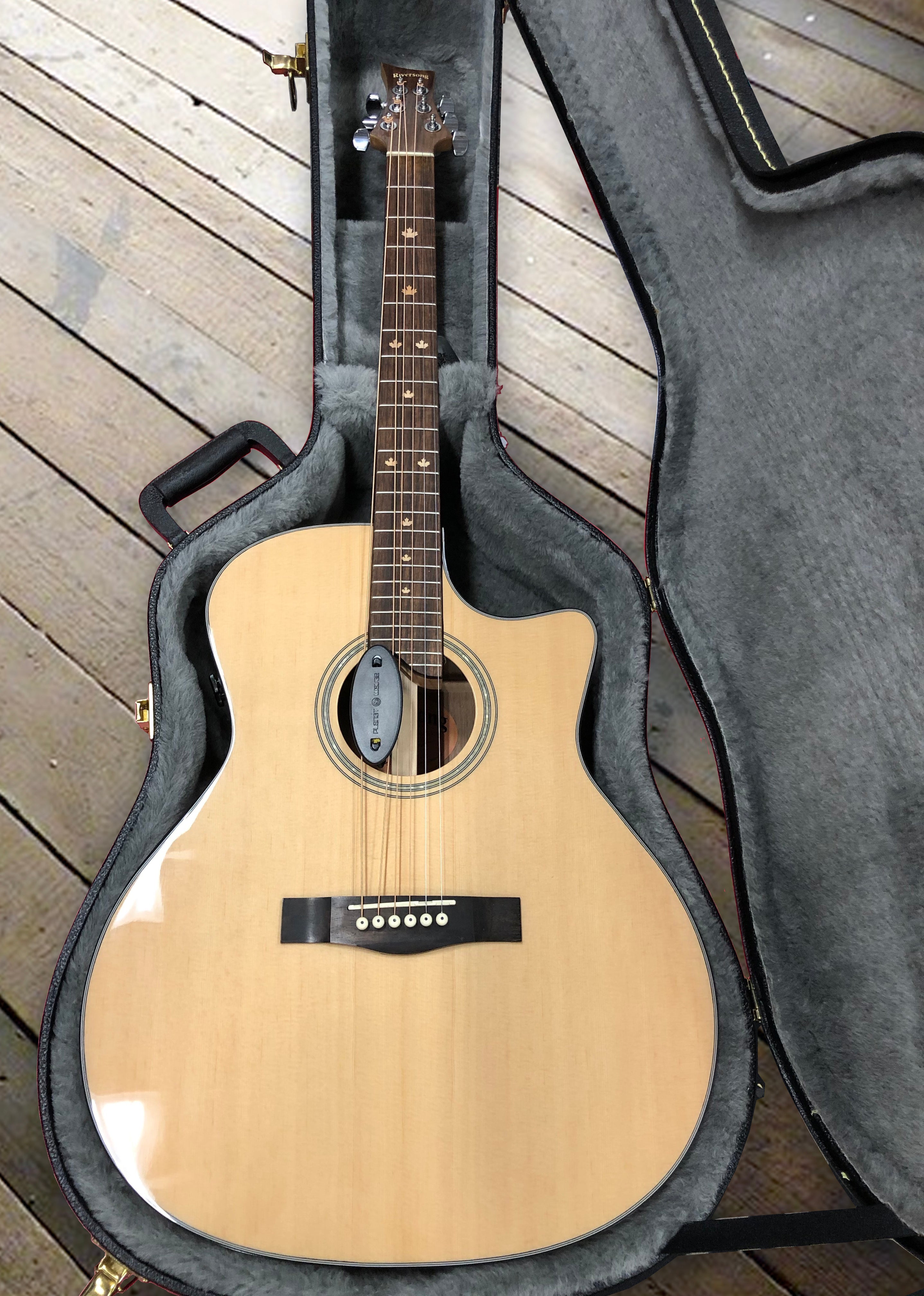 Guitarcase2a.jpg?v=1623190169