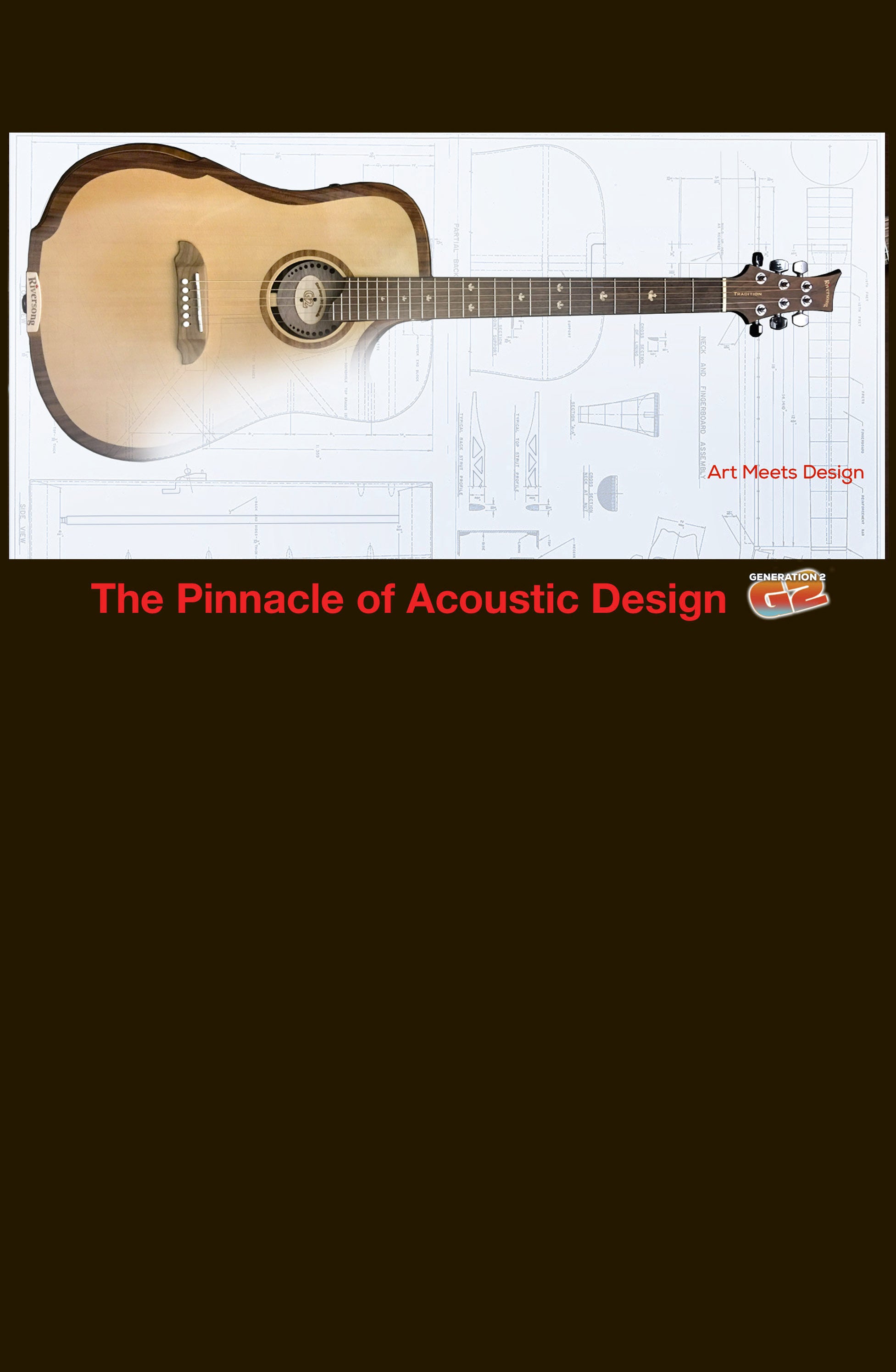 Unique Acoustic Guitar Designs